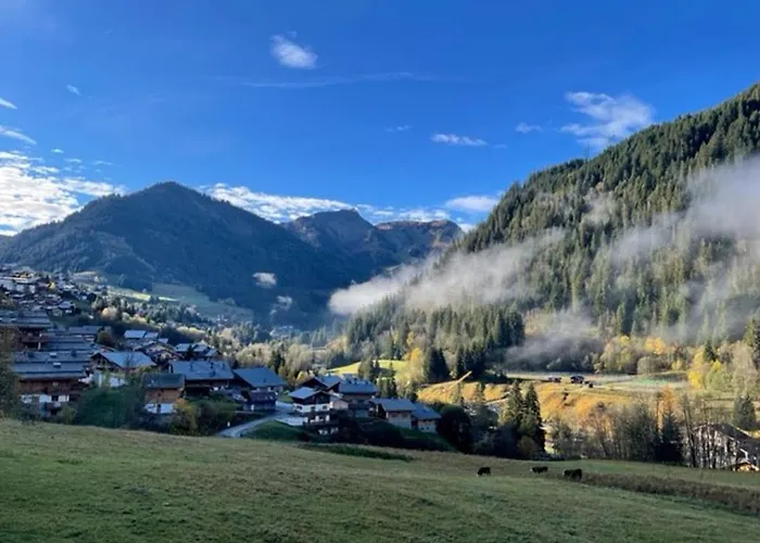 샬레 En Bois Avec Et Sauna A Chatel, 10 Couchages - Fr-1-198-213 *